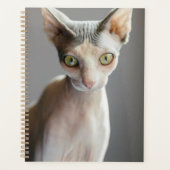 Niedliche Kleintiere | Sphinx Cat Planer (Vorderseite)