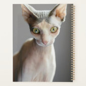 Niedliche Kleintiere | Sphinx Cat Planer (Rückseite)
