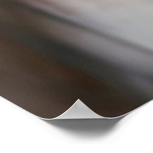 Niedliche Kleintiere | Sphinx Cat Poster (Ecke)