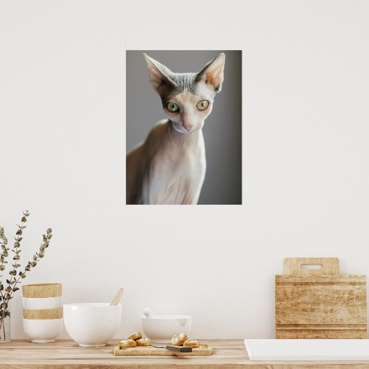 Niedliche Kleintiere | Sphinx Cat Poster (Küche)