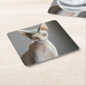 Niedliche Kleintiere | Sphinx Cat Rechteckiger Pappuntersetzer (angewinkelt)