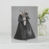 Niedliche Kleintiere | Sphynx Hairless Cat Dankeskarte (Stehend Vorderseite)
