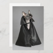 Niedliche Kleintiere | Sphynx Hairless Cat Dankeskarte (Vorne/Hinten)
