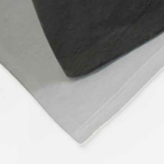 Niedliche Kleintiere | Sphynx Hairless Cat Fleecedecke (Ecke)