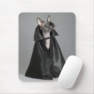Niedliche Kleintiere   Sphynx Hairless Cat Mousepad