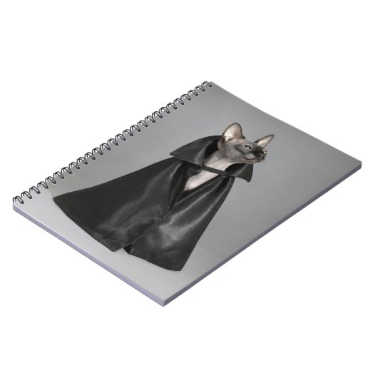 Niedliche Kleintiere | Sphynx Hairless Cat Notizblock (Linke Seite)