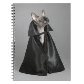 Niedliche Kleintiere | Sphynx Hairless Cat Notizblock (Vorderseite)