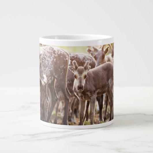 Niedliche Kleintiere | Svalbard Rentier Jumbo-Tasse (Vorderseite)
