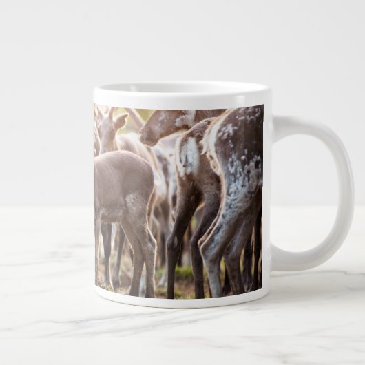 Niedliche Kleintiere | Svalbard Rentier Jumbo-Tasse (Rechts)