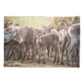 Niedliche Kleintiere | Svalbard Rentier Kissenbezug (Rückseite)