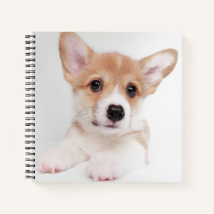Niedliche Kleintiere Sweet Baby Corgi Notizblock