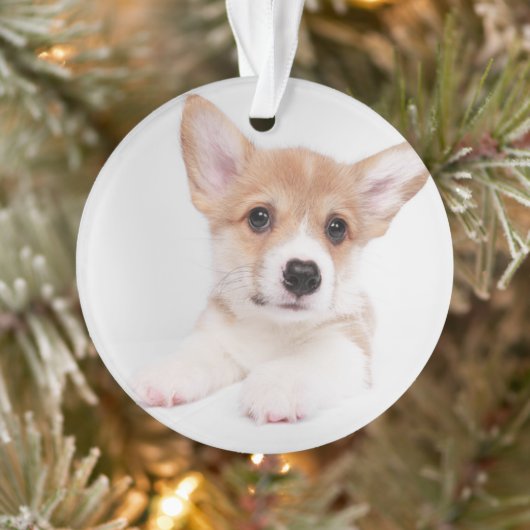 Niedliche Kleintiere | Sweet Baby Corgi Ornament (Baum)