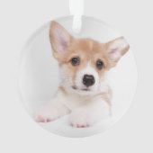 Niedliche Kleintiere | Sweet Baby Corgi Ornament (Rückseite)