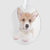 Niedliche Kleintiere | Sweet Baby Corgi Ornament (Vorderseite)