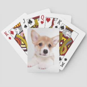 Niedliche Kleintiere   Sweet Baby Corgi Spielkarten