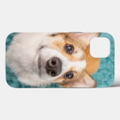 Niedliche Kleintiere | Sweet Corgi Puppy Face Case-Mate iPhone Hülle (Rückseite (Horizontal))