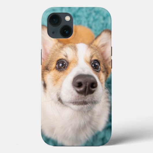 Niedliche Kleintiere | Sweet Corgi Puppy Face Case-Mate iPhone Hülle (Rückseite)