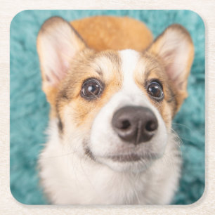 Niedliche Kleintiere Sweet Corgi Puppy Face Rechteckiger Pappuntersetzer