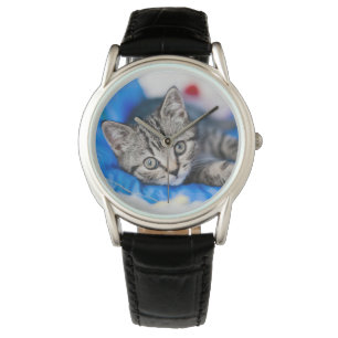 Niedliche Kleintiere   Tabby Kitten im Spieltunnel Armbanduhr