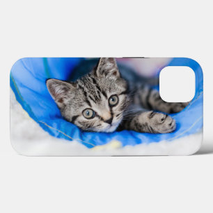 Niedliche Kleintiere Tabby Kitten im Spieltunnel Case-Mate iPhone Hülle