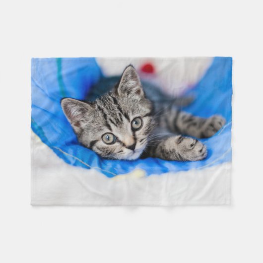 Niedliche Kleintiere | Tabby Kitten im Spieltunnel Fleecedecke (Vorderseite (Horizontal))