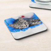 Niedliche Kleintiere | Tabby Kitten im Spieltunnel Getränkeuntersetzer (Linke Seite)