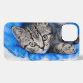 Niedliche Kleintiere | Tabby Kitten im Spieltunnel iPhone Hülle (Rückseite (Horizontal))