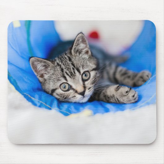 Niedliche Kleintiere | Tabby Kitten im Spieltunnel Mousepad (Vorne)