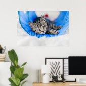 Niedliche Kleintiere | Tabby Kitten im Spieltunnel Poster (Heimbüro)