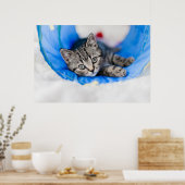 Niedliche Kleintiere | Tabby Kitten im Spieltunnel Poster (Küche)