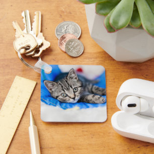 Niedliche Kleintiere Tabby Kitten im Spieltunnel Schlüsselanhänger
