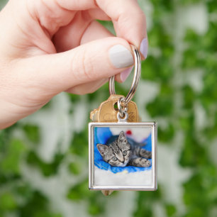 Niedliche Kleintiere   Tabby Kitten im Spieltunnel Schlüsselanhänger