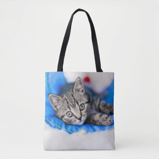 Niedliche Kleintiere | Tabby Kitten im Spieltunnel Tasche (Vorderseite)