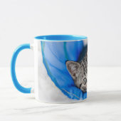 Niedliche Kleintiere | Tabby Kitten im Spieltunnel Tasse (Links)