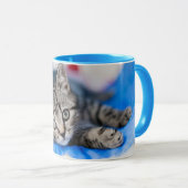Niedliche Kleintiere | Tabby Kitten im Spieltunnel Tasse (VorderseiteRechts)