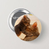 Niedliche Kleintiere | Tabby Kitten Kiss Button (Vorne & Hinten)