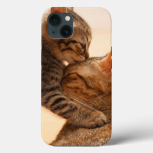 Niedliche Kleintiere   Tabby Kitten Kiss Case-Mate iPhone Hülle