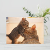 Niedliche Kleintiere | Tabby Kitten Kiss Dankeskarte (Stehend Vorderseite)