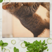 Niedliche Kleintiere | Tabby Kitten Kiss Geschirrtuch (Gefaltet)