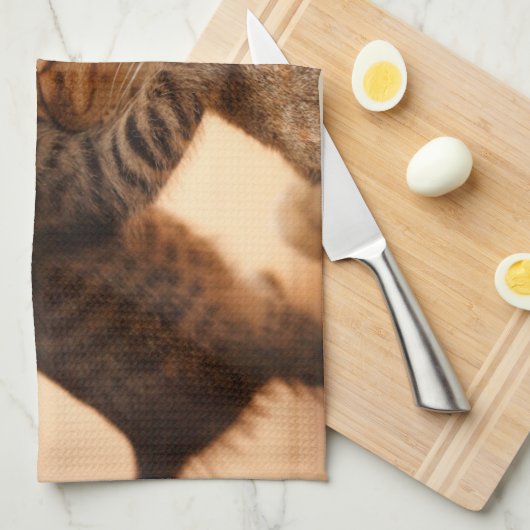 Niedliche Kleintiere | Tabby Kitten Kiss Geschirrtuch (Viertel Falte)