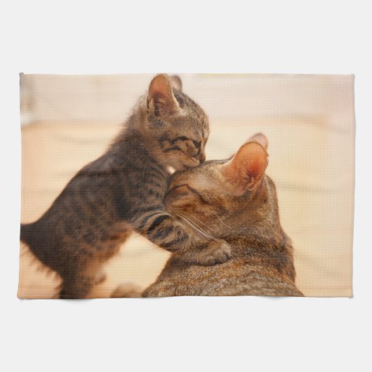 Niedliche Kleintiere | Tabby Kitten Kiss Geschirrtuch (Horizontal)
