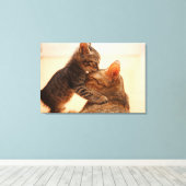 Niedliche Kleintiere | Tabby Kitten Kiss Leinwanddruck (Insitu (Holzboden))