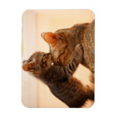 Niedliche Kleintiere | Tabby Kitten Kiss Magnet (Vertikal)