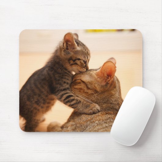 Niedliche Kleintiere | Tabby Kitten Kiss Mousepad (Mit Mouse)