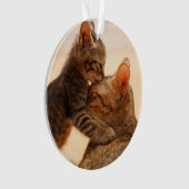 Niedliche Kleintiere | Tabby Kitten Kiss Ornament (Vorderseite)