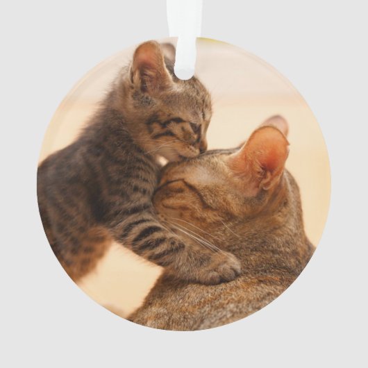 Niedliche Kleintiere | Tabby Kitten Kiss Ornament (Rückseite)