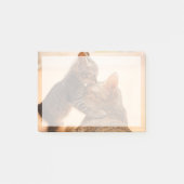 Niedliche Kleintiere | Tabby Kitten Kiss Post-it Klebezettel (Vorderseite)