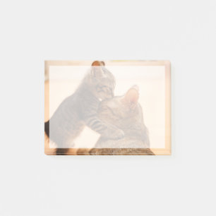 Niedliche Kleintiere Tabby Kitten Kiss Post-it Klebezettel