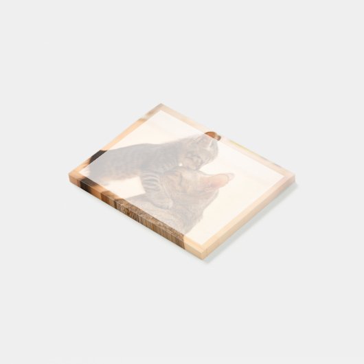 Niedliche Kleintiere | Tabby Kitten Kiss Post-it Klebezettel (angewinkelt)