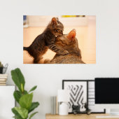 Niedliche Kleintiere | Tabby Kitten Kiss Poster (Heimbüro)